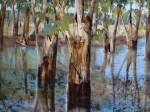 Red Gums in Flood, crop&nbsp;1