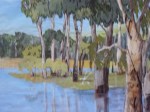 Red Gums in Flood,&nbsp;cropped