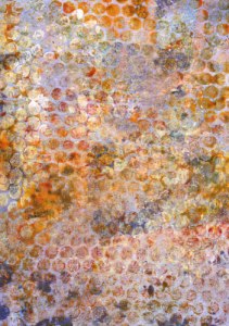 Ubiquitous-bubble-wrap-wb