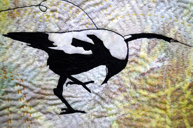 magpie-close-up-low-res