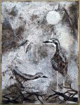 Bush-Stone-Curlew-Full