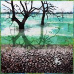 blue-green-algae-thumbnail