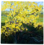 lindenl-gold-dustwattle